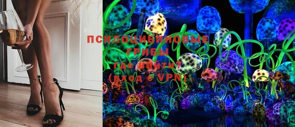 тгк Абаза